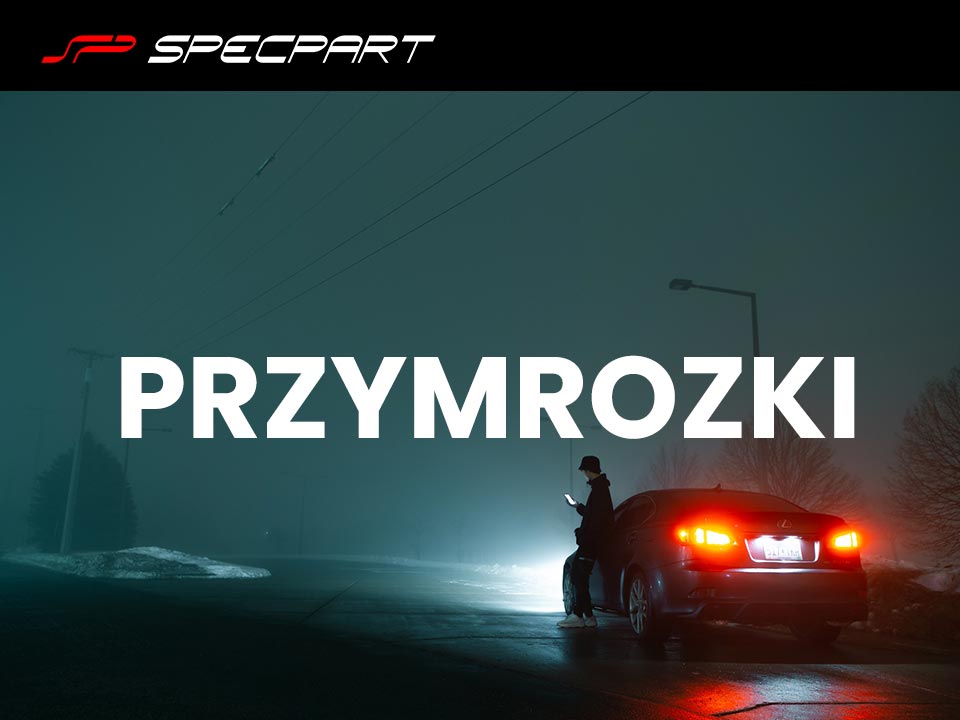 Co robić gdy padnie akumulator w aucie? – akumulatory Gorzów Wielkopolski Grom